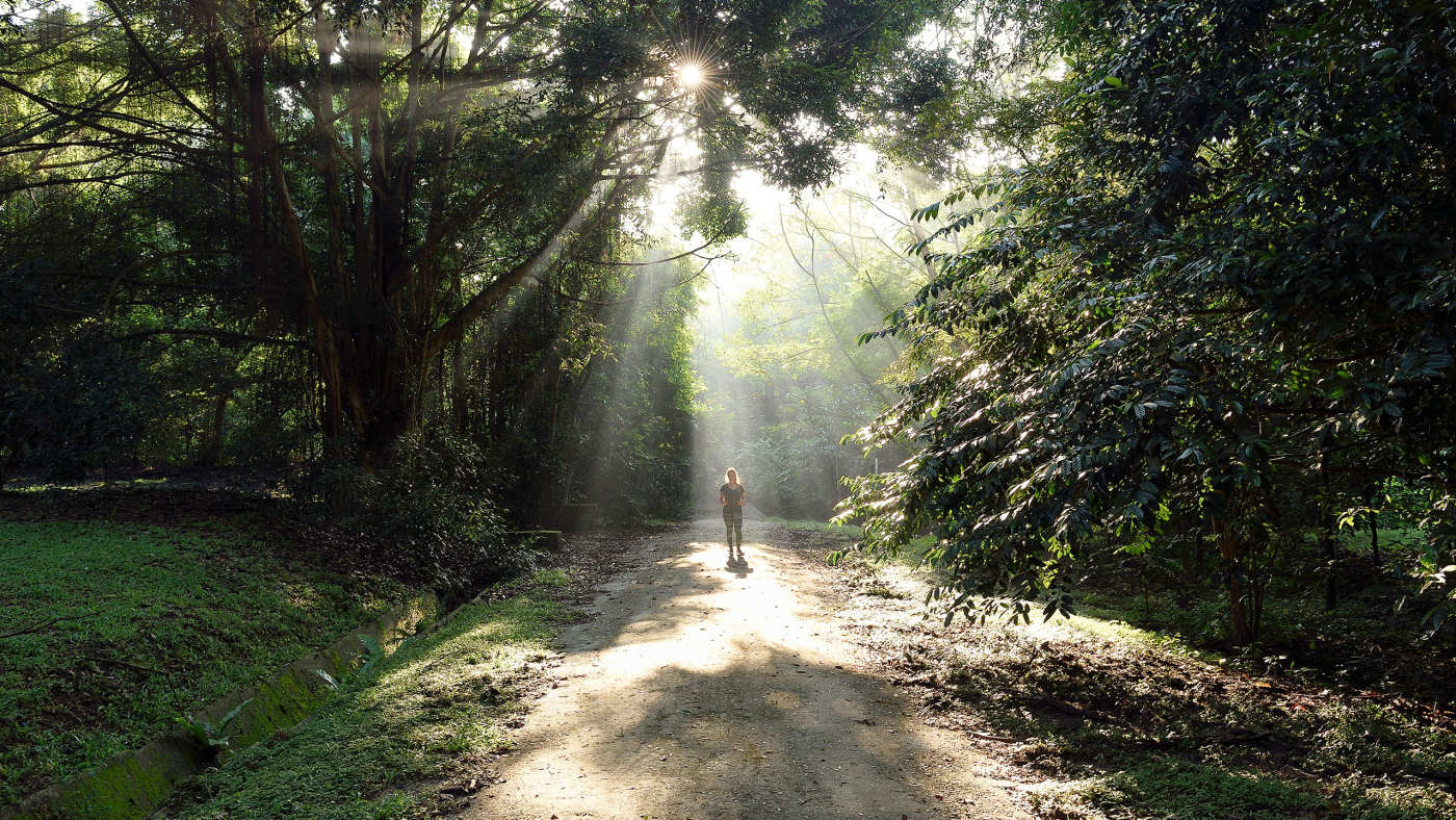 Shamanic Journey to Activate Energy