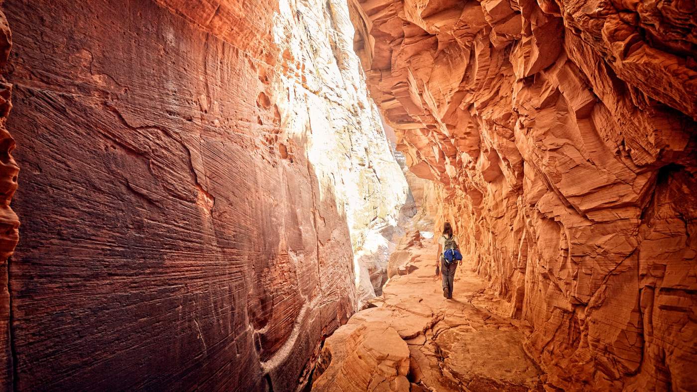 Shamanic Journey through the Heart