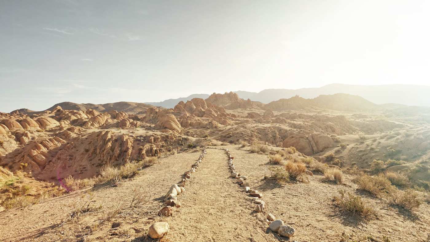 Shamanic Journey to Restore Trust