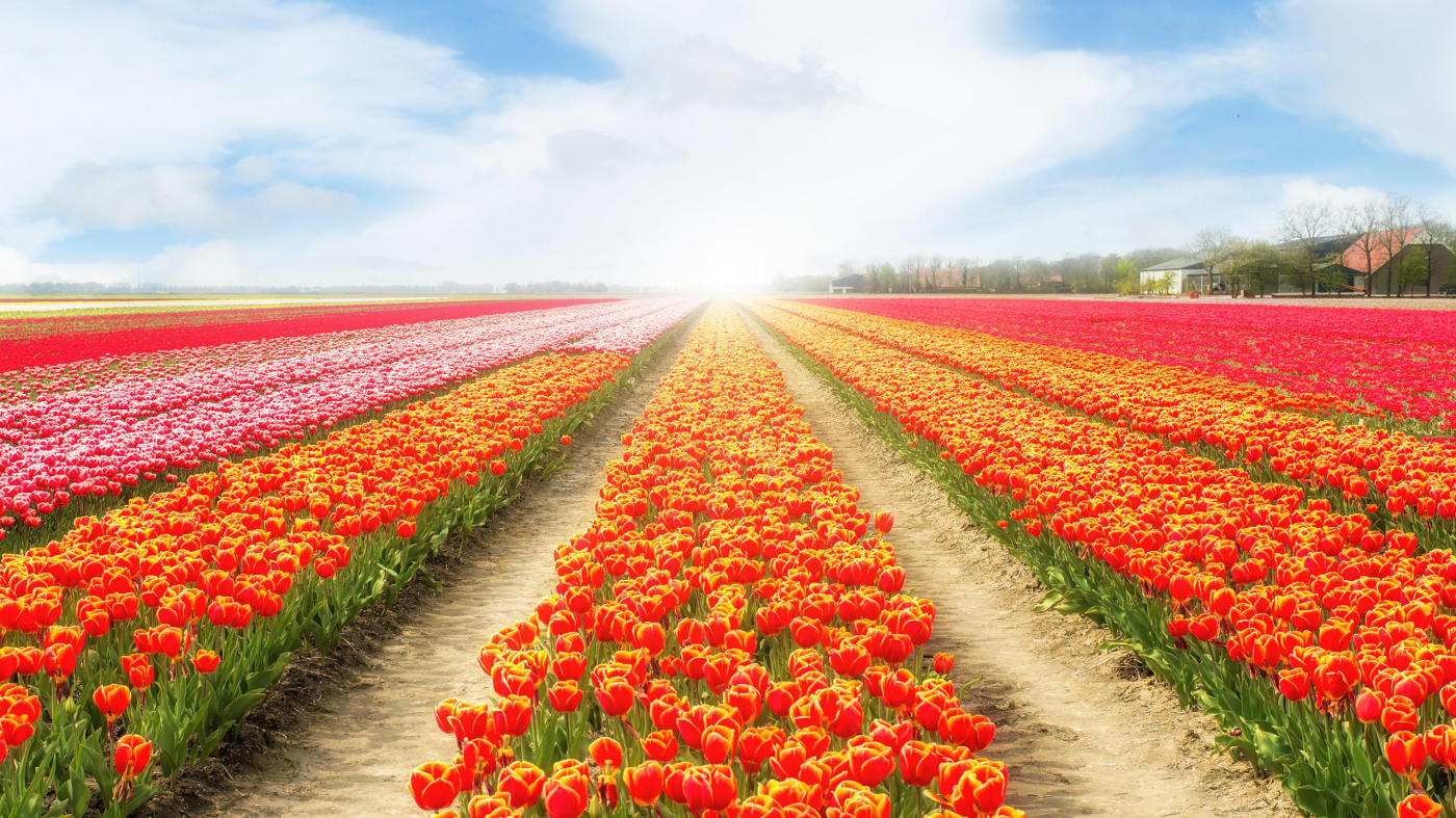 Nurture Infinite Possibilities