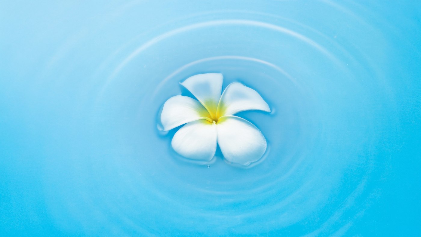 Healing Through Self-Care