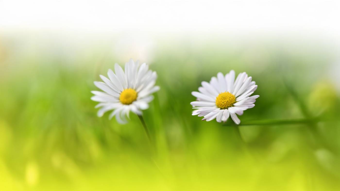 Self-Care With Tonglen Meditation