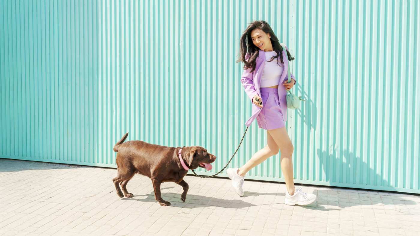 Build a Routine with Your Pet