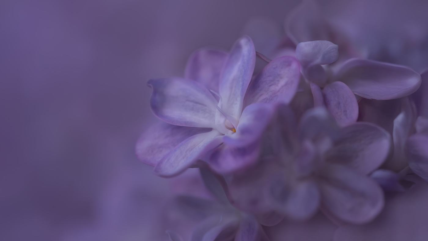 Connect to Love When Grieving
