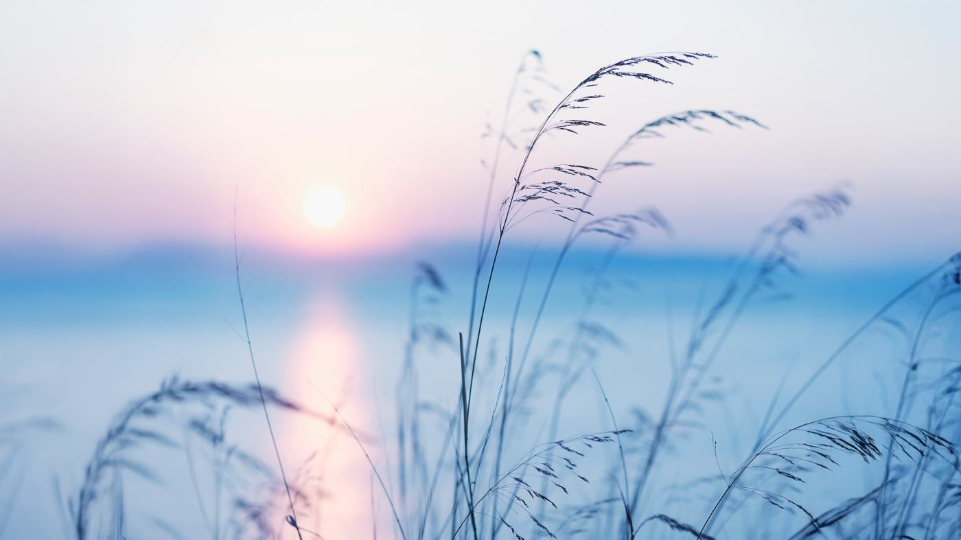 Connect with Mother Earth