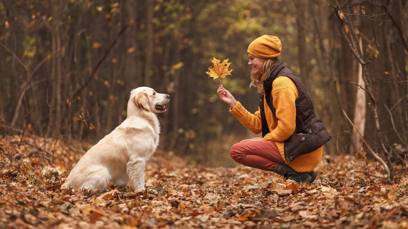 Welcome Abundance With Your Pet