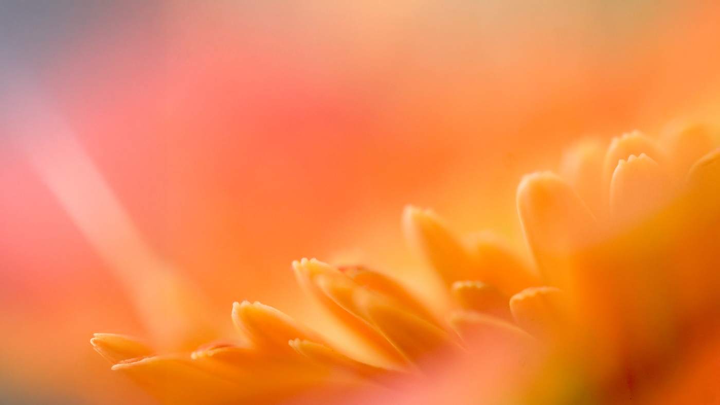 Cultivating Empathy