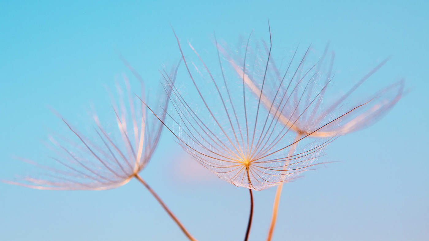 Breathe to Connect With Nature