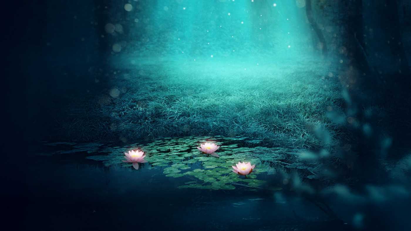 Beginner-Friendly Yoga Nidra