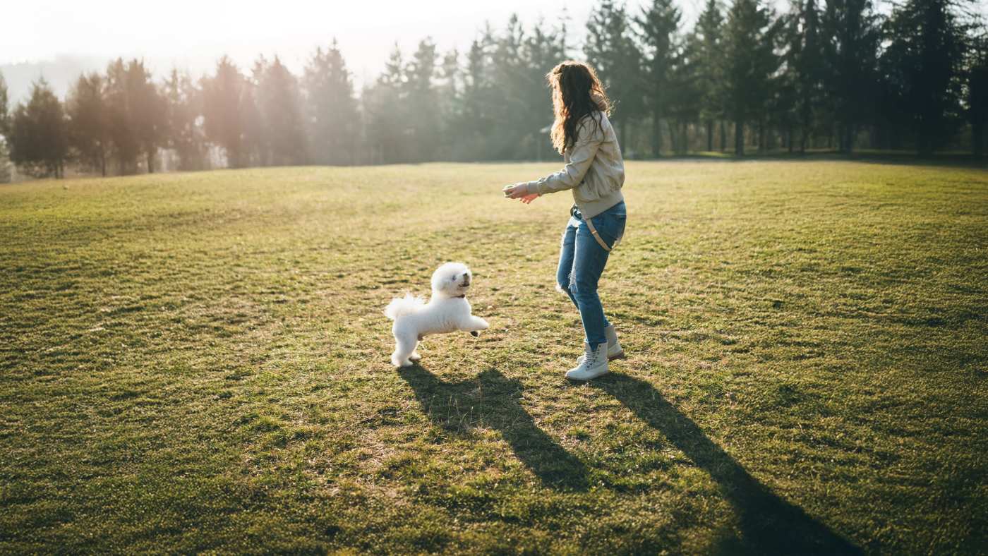 Rejuvenate with Your Pet