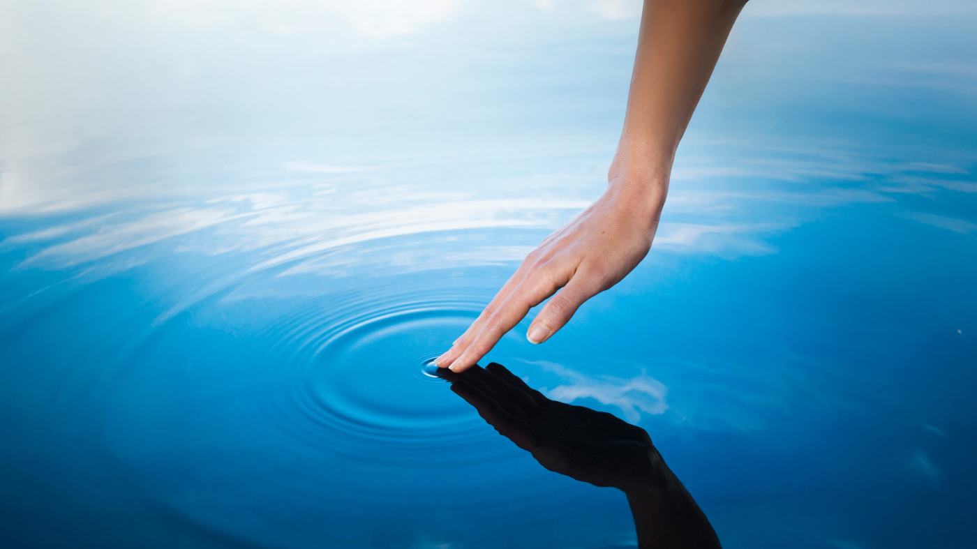 Embracing the Present Moment