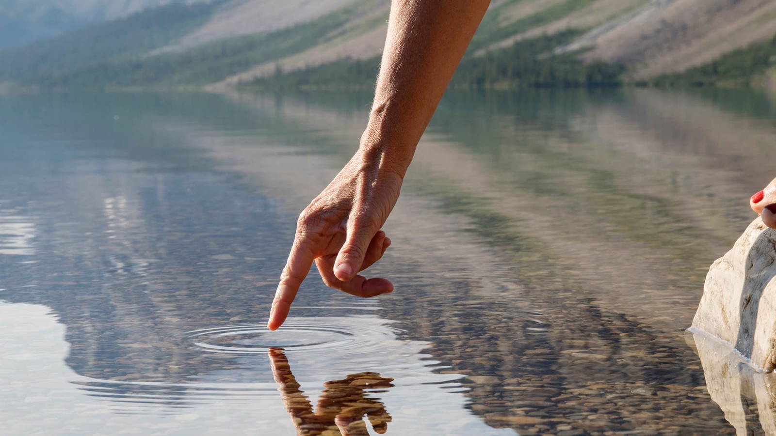 Why Did That Happen? Understanding Cause and Effect, a Buddhist's Perspective