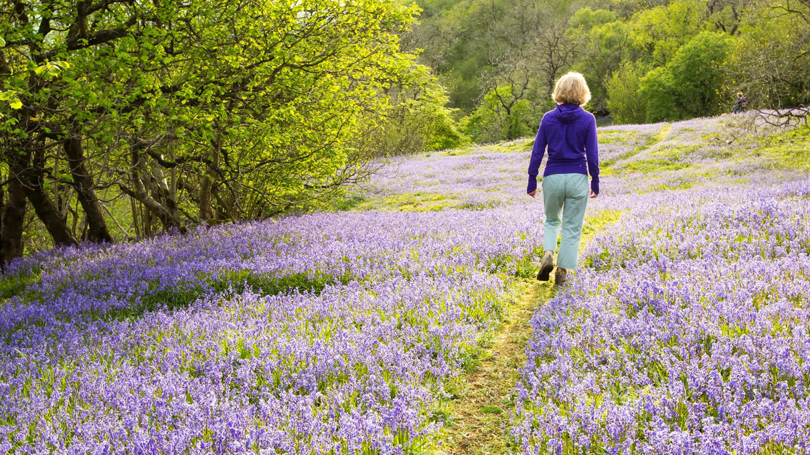 How Meditating Connects My Path