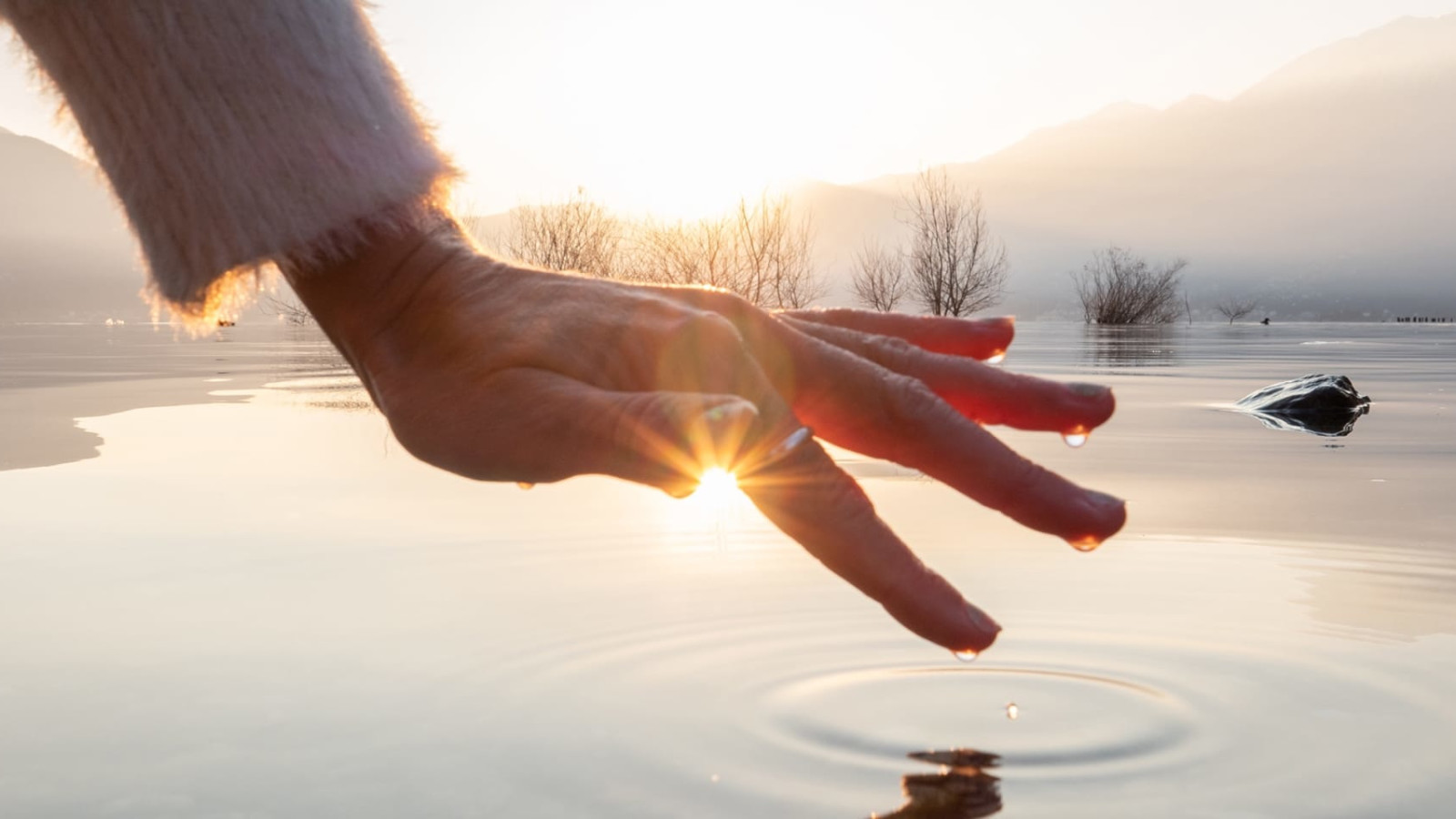 How Meditation Helped Me Heal from the Inside Out