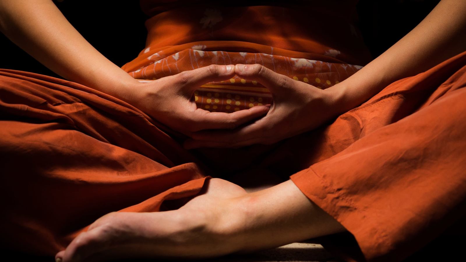 What Makes Sanskrit the Perfect Language