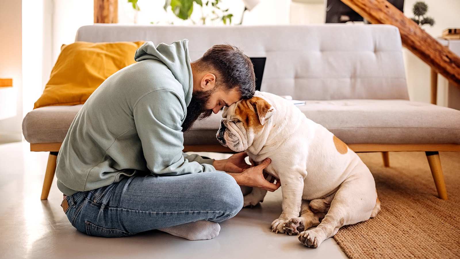 Should You Meditate With Your Pet?