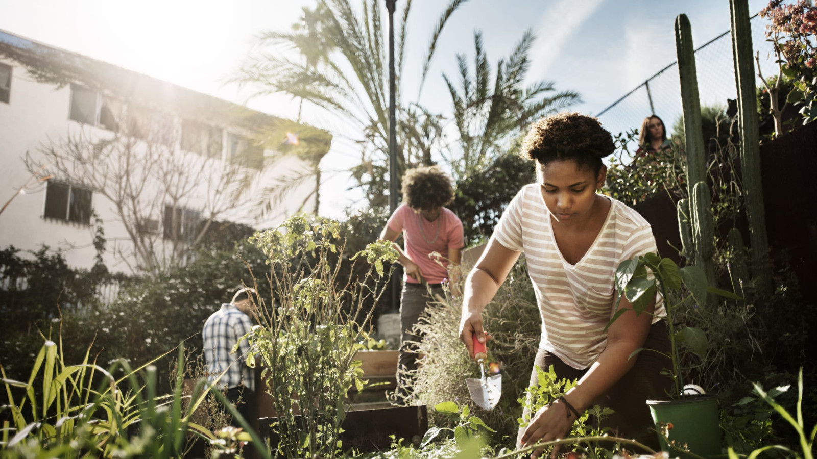 Rewilding and urban gardening for Planetary Wellbeing