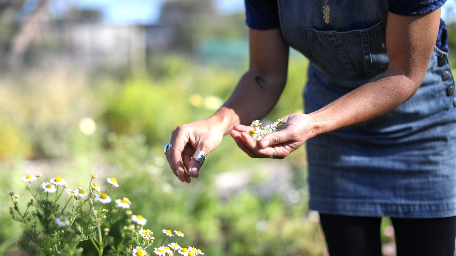 Tapping Into the Vitality of Nature