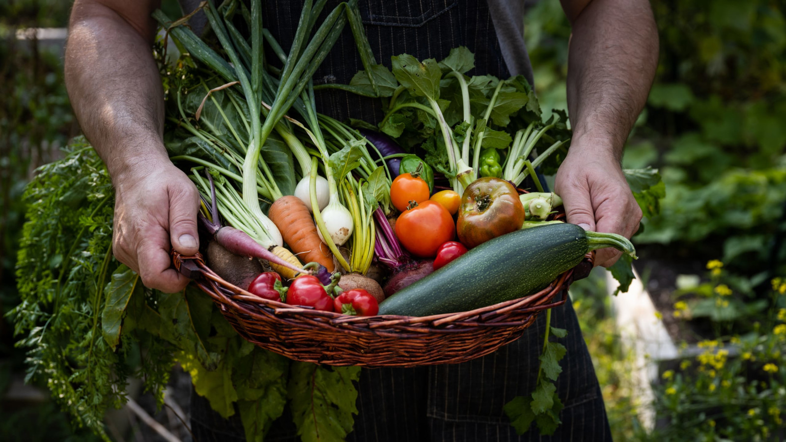 PRACTICE: The Food Sabbath