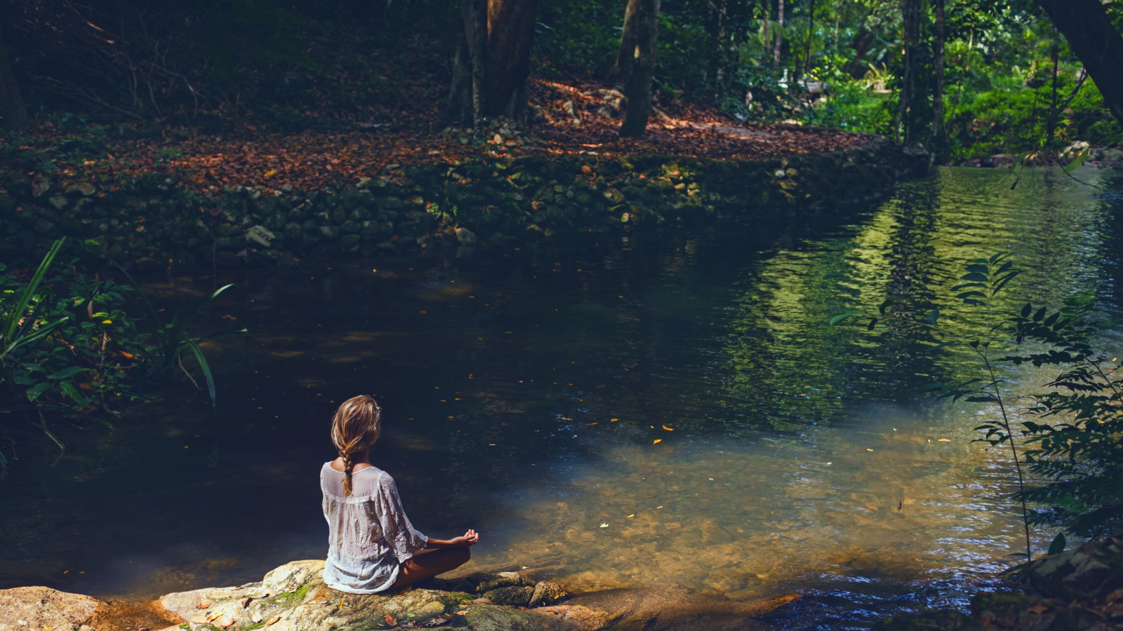 Healing Vibes (Forest) 