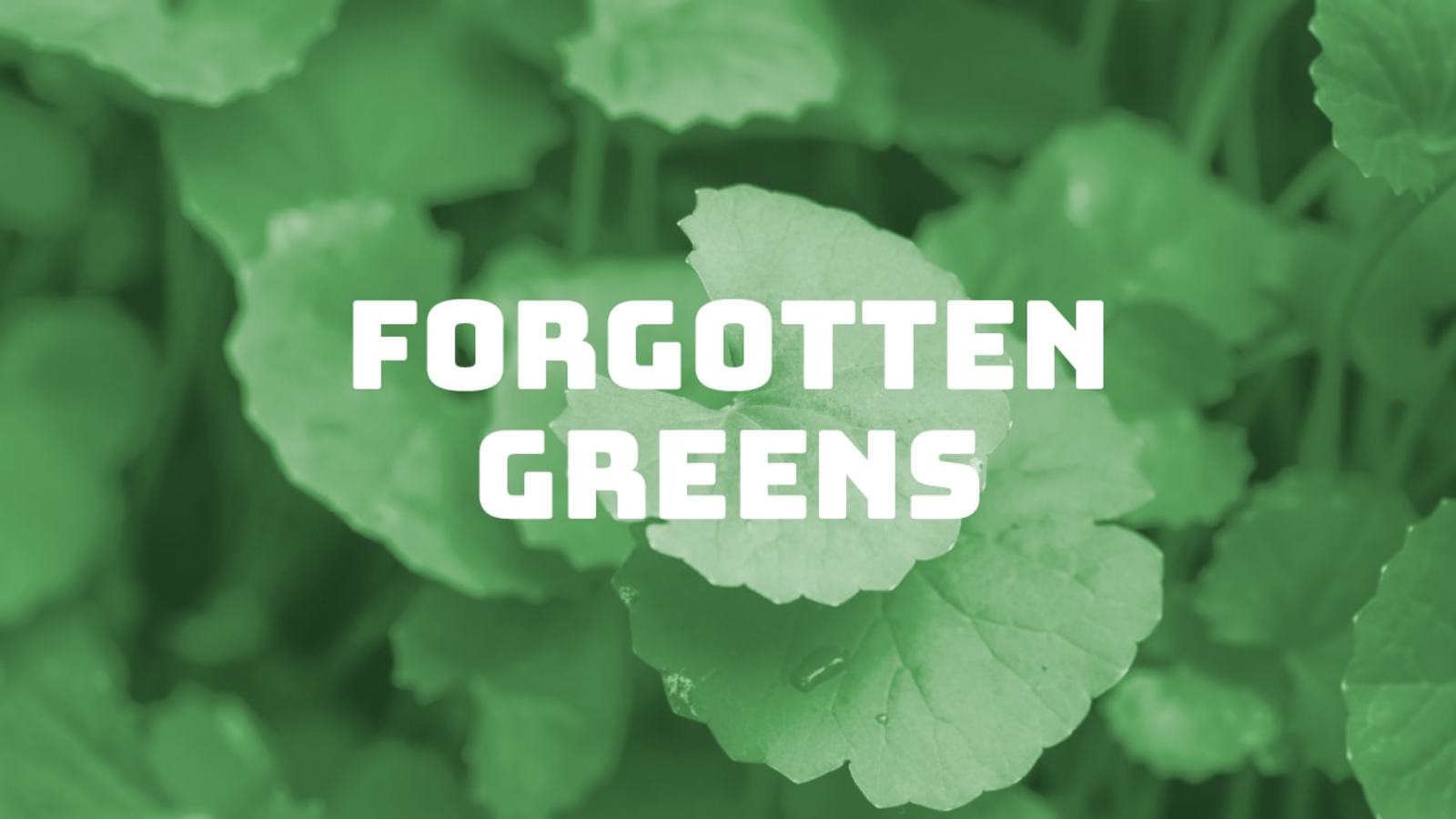 FORAGE: The Wilderness Within