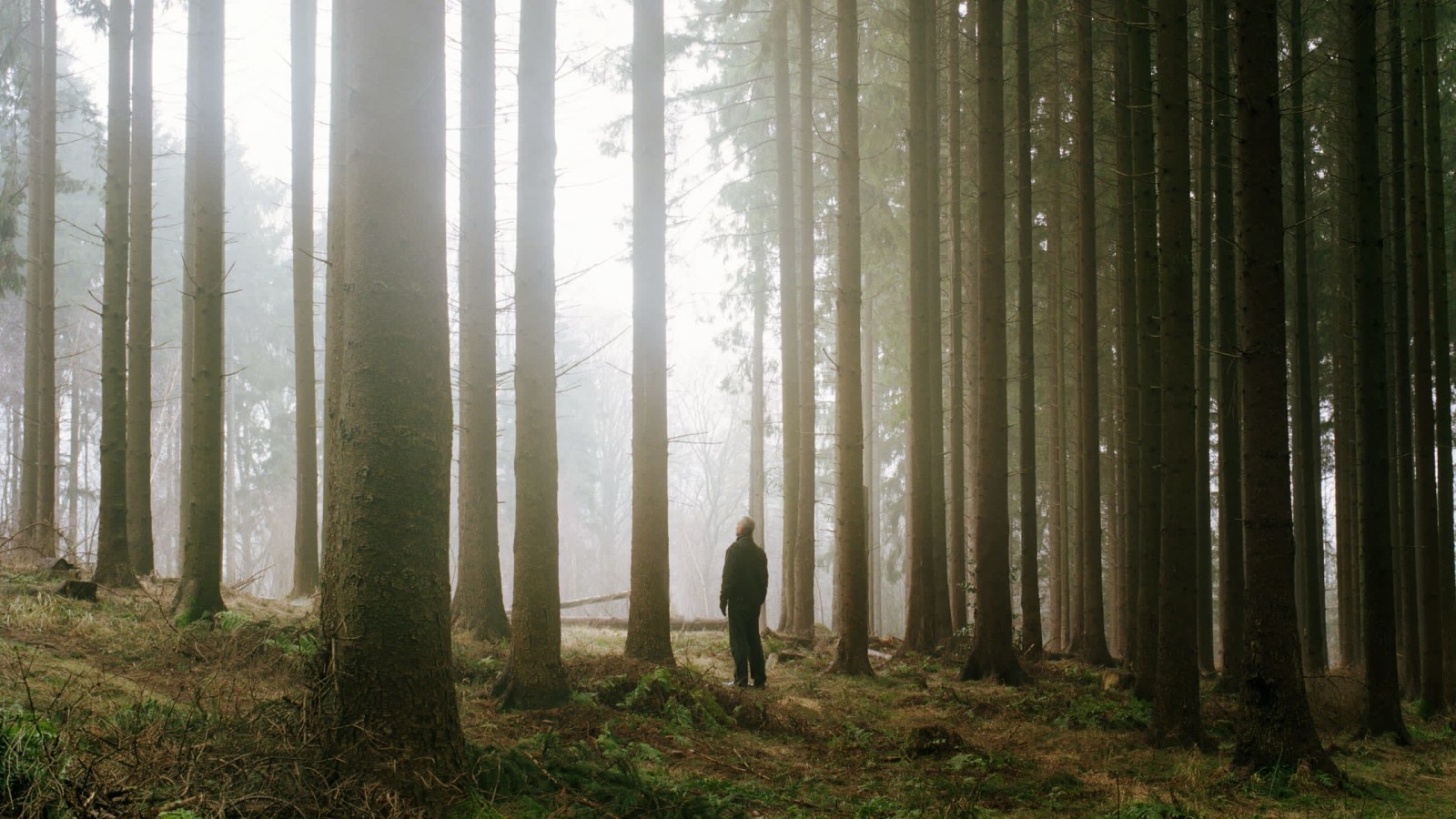 Are You Lonely or Uncomfortable Being Alone?