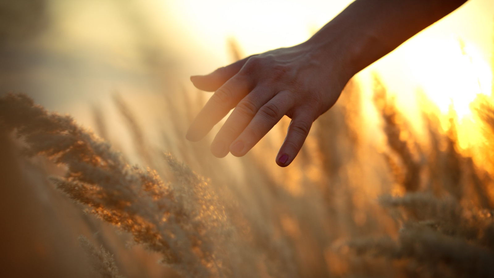 21 Days to Calm Anxiety: Our 5 Biggest Takeaways