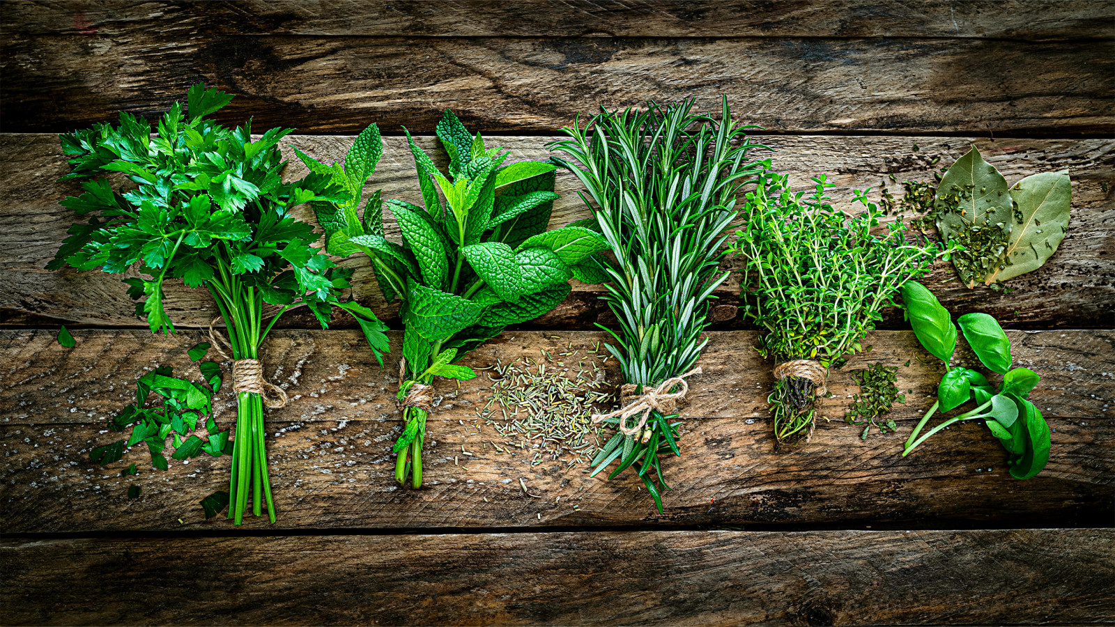 The Nutritional Wealth of Herbs