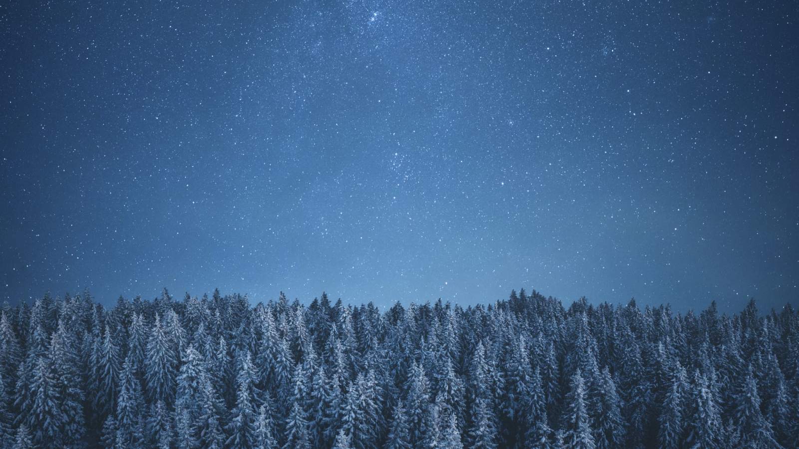 Winter Solstice Wellbeing Rituals
