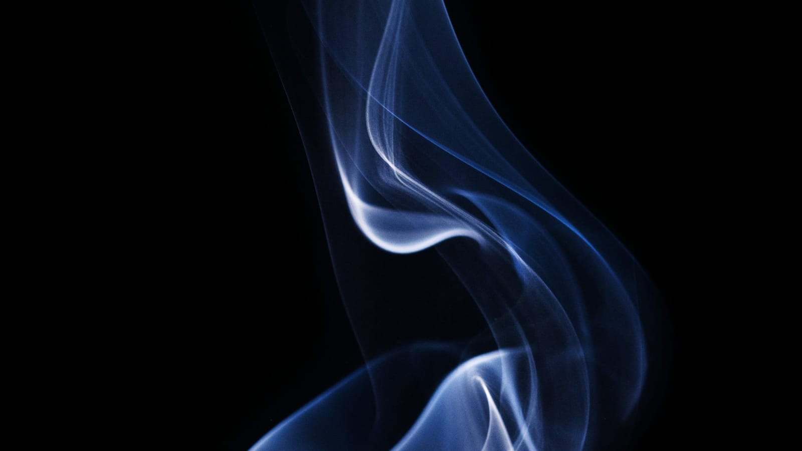 Use Your Senses to Get Present