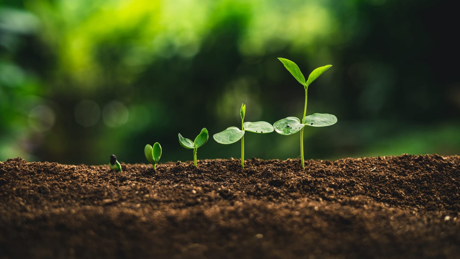 5 Steps to Change Any Habit