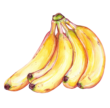 Banana