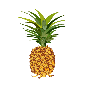 Pineapple