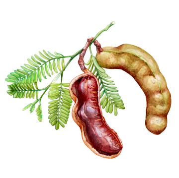 Tamarind