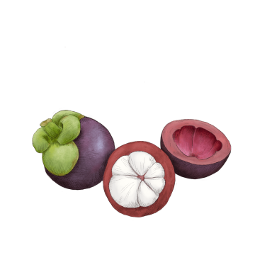 Mangosteen