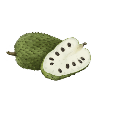 Soursop