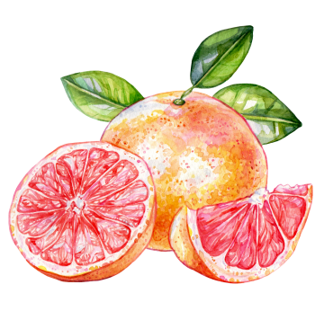 Grapefruit