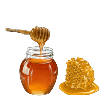 Honey