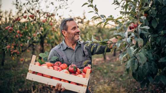 Sowing Seeds in the Field of Infinite Possibility