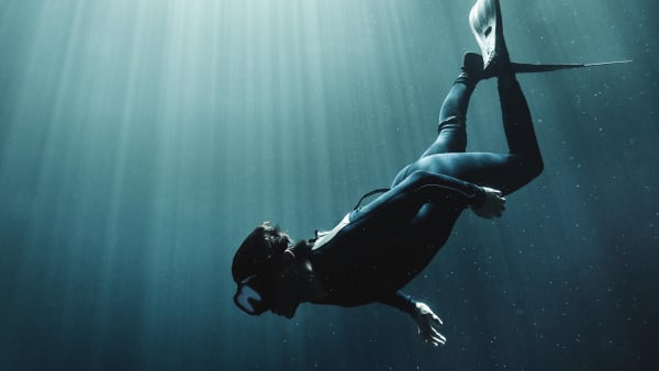 DREAM: A Liquid Mind Experience