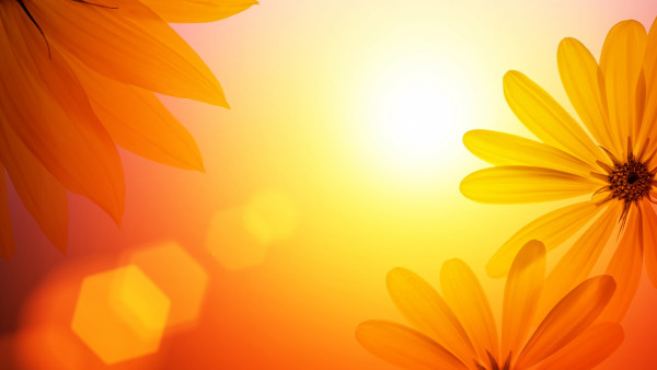 Awaken Happiness Within You