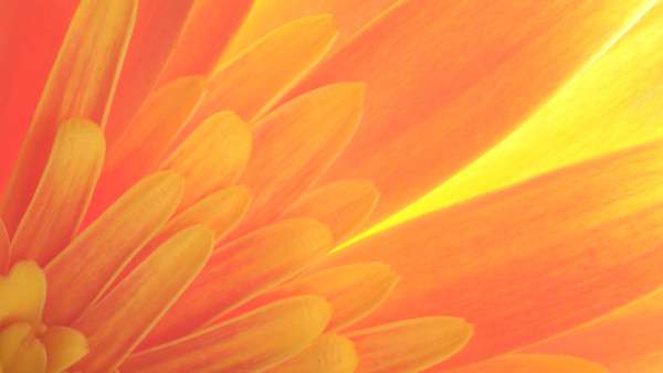 Set an Intention Before Meetings