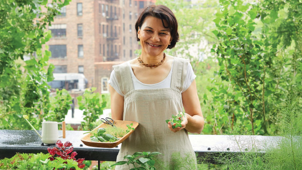 Q&A with Divya Alter