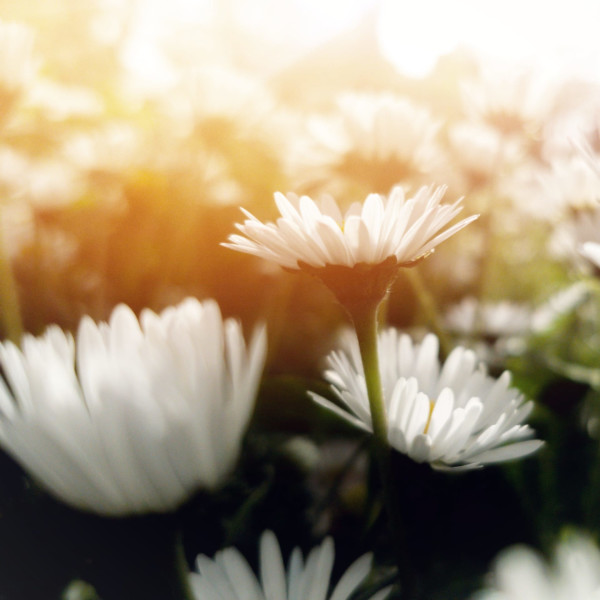 Becoming