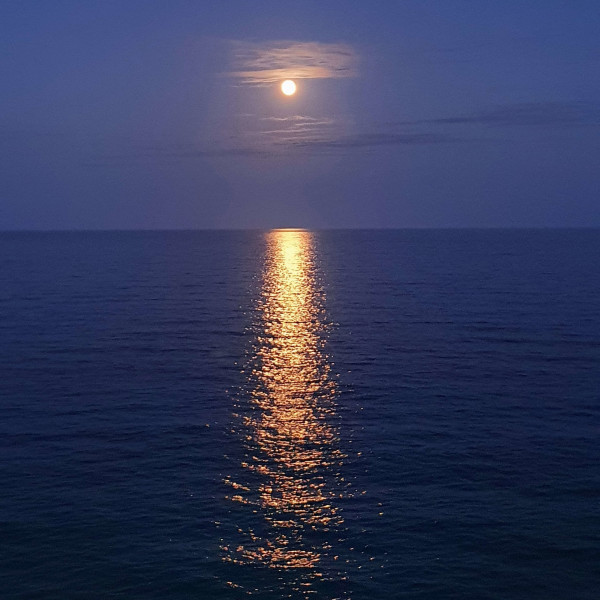 AquaEssence: An Ocean of Calm