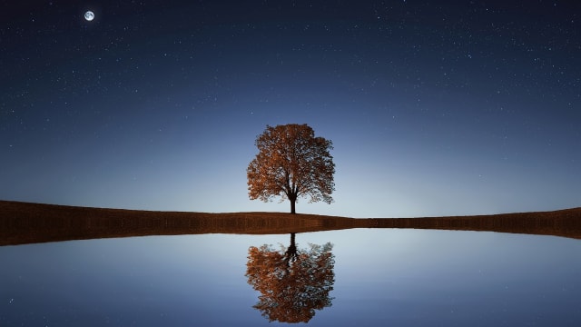 Liquid Mind VII: Reflection