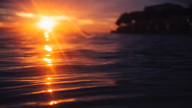 Gratitude Meditations