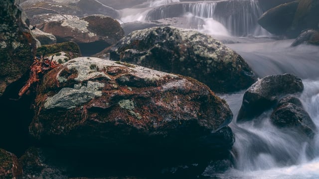 Music of the Great Smoky Mountains