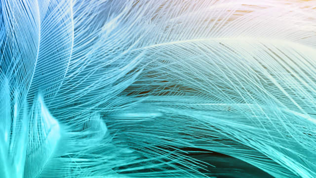 Feather Light