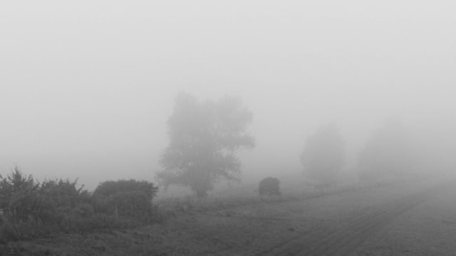 Shadow: Mist and Light